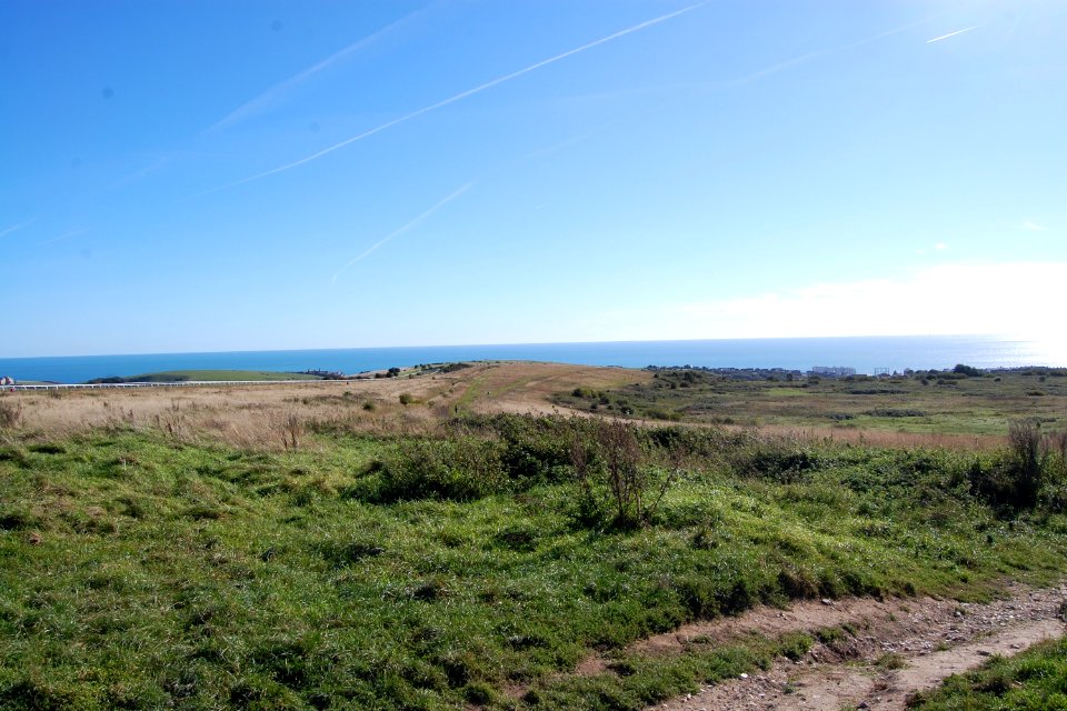 Open Land near Brighton Racecourse (September 2018) (1)