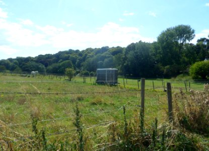 Open Land at The Vale, Ovingdean (August 2014) (5)