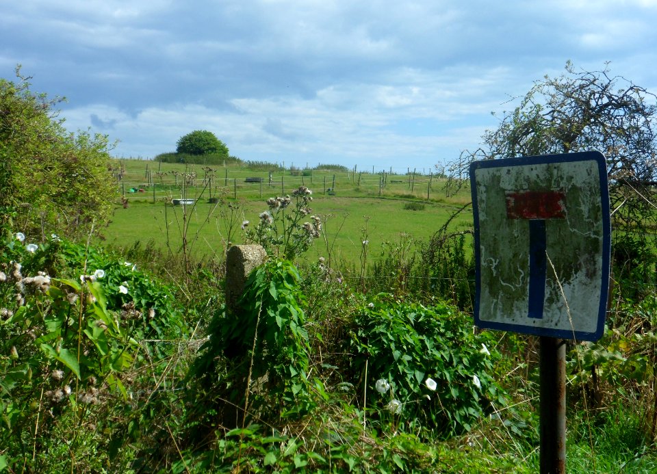 Open Land at The Vale, Ovingdean (August 2014) (2)