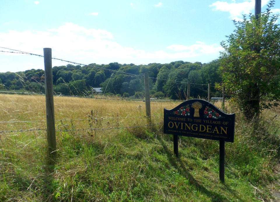 Open Land at The Vale, Ovingdean (August 2014) (6)
