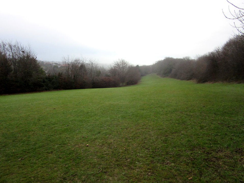 Open Land between Dyke Road and Patcham Windmill, Westdene, Brighton (December 2016) (1)