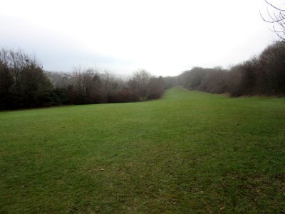 Open Land between Dyke Road and Patcham Windmill, Westdene, Brighton (December 2016) (1)