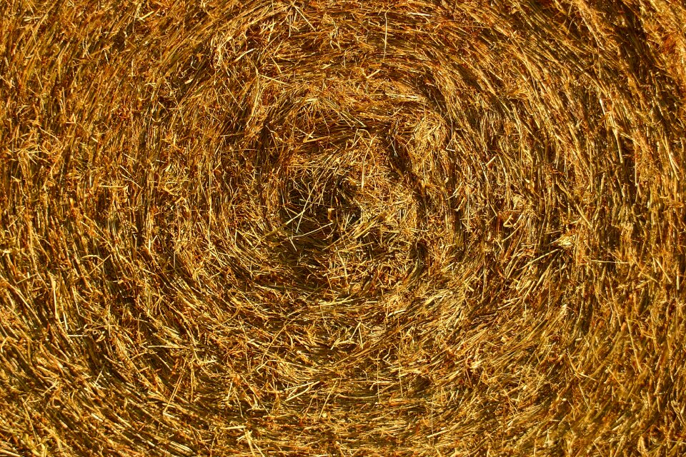 Texture backgrounds straw