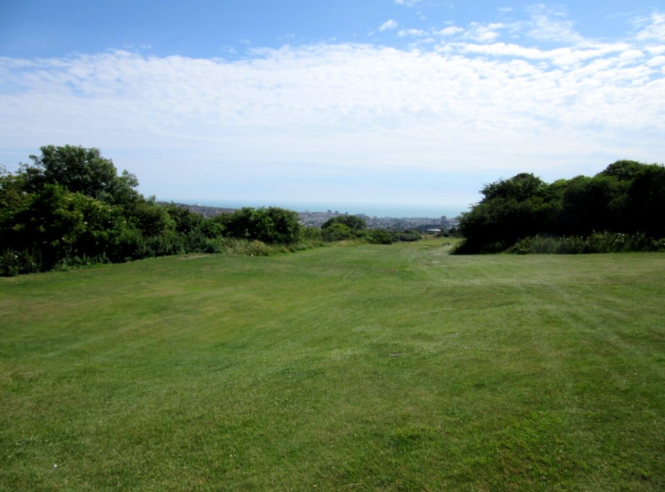 Open Land at Hollingbury Hill, Brighton (July 2015) (2)