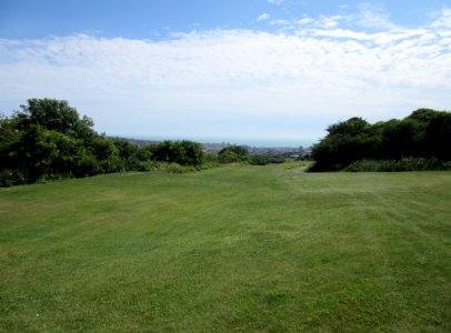 Open Land at Hollingbury Hill, Brighton (July 2015) (2)