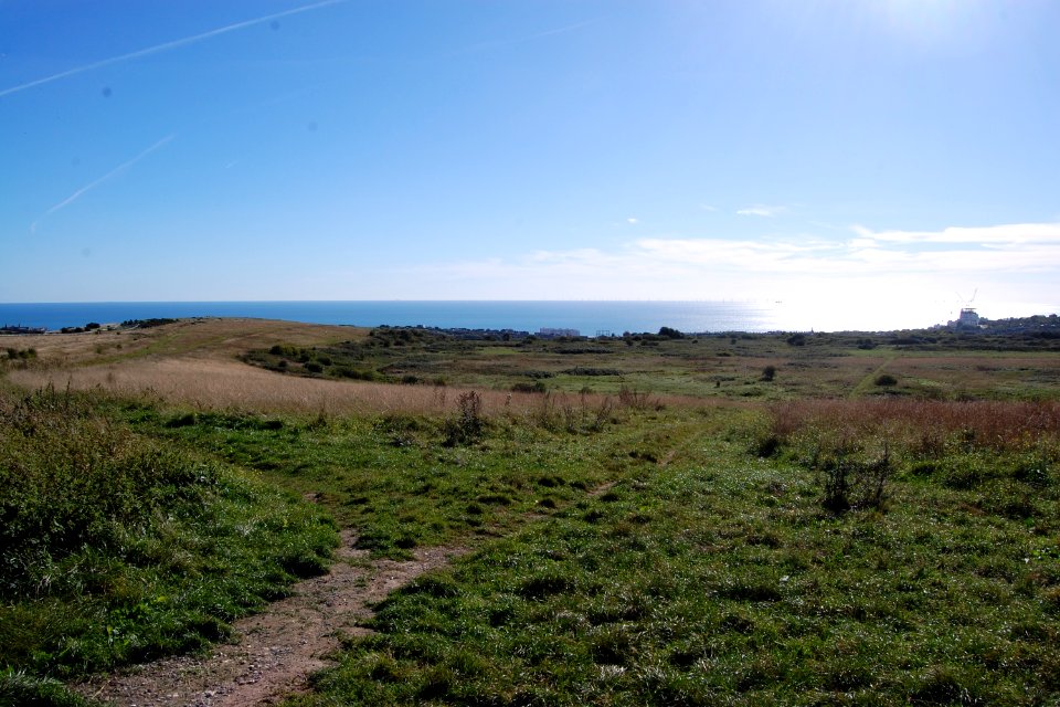 Open Land near Brighton Racecourse (September 2018) (6)