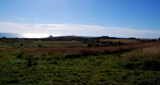 Open Land near Brighton Racecourse (September 2018) (5)