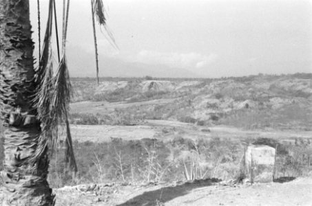 Open landschap, Bestanddeelnr 45-2-5