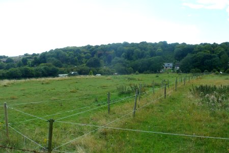 Open Land at The Vale, Ovingdean (August 2014) (8)