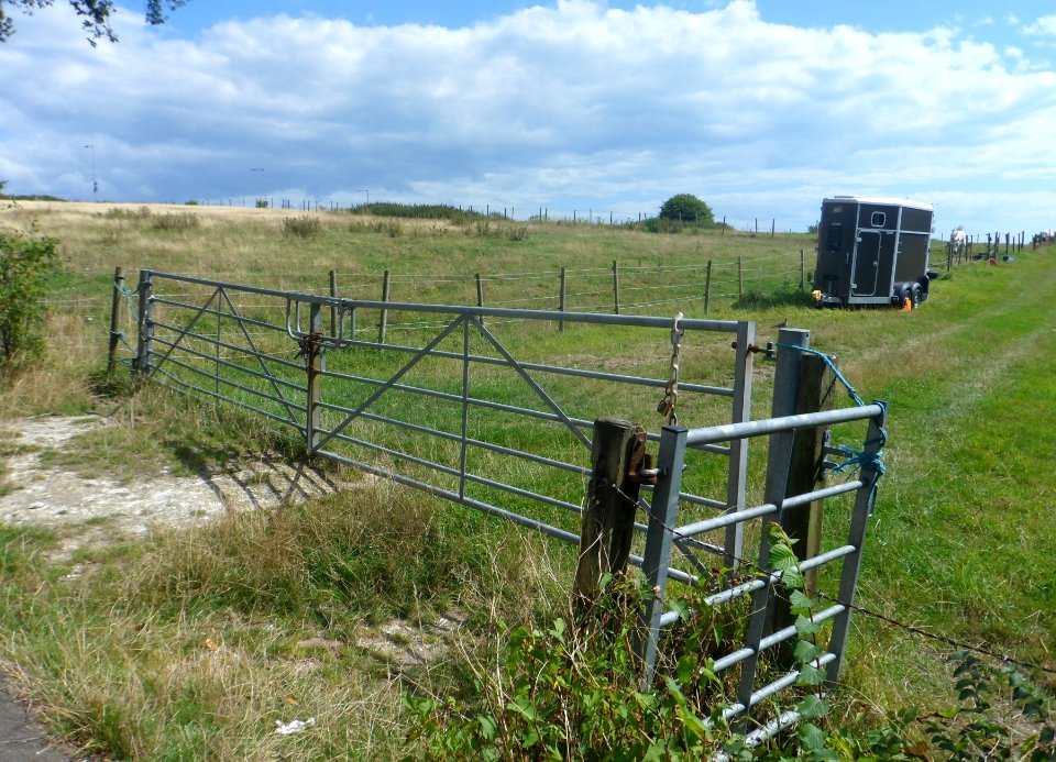Open Land at The Vale, Ovingdean (August 2014) (3)