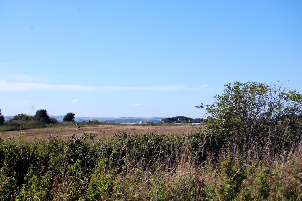 Open Land near Brighton Racecourse (September 2018) (2)