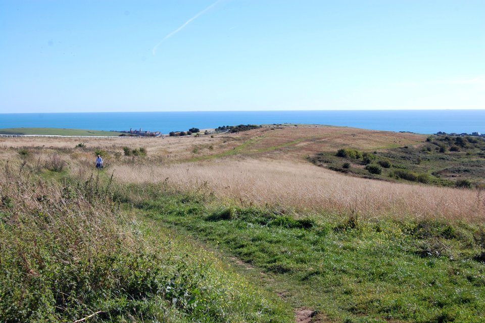 Open Land near Brighton Racecourse (September 2018) (3)