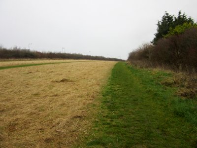 Open Land between Dyke Road and Patcham Windmill, Westdene, Brighton (December 2016) (2)
