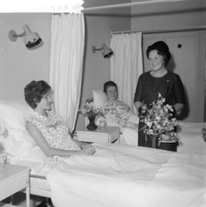 Opening nieuw Streekziekenhuis te Gorkum door Prinses Beatrix, Bestanddeelnr 911-7410