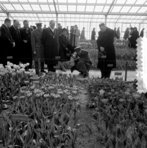 Opening Keukenhof door Prins Bernhard, Bestanddeelnr 905-0178