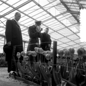 Opening Keukenhof door Prins Bernhard, Bestanddeelnr 905-0179