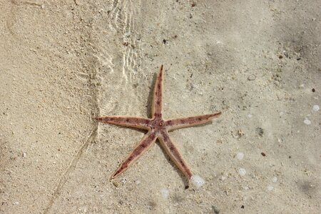 Lagoon beach sand