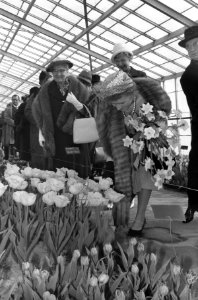 Opening Keukenhof door Minister Klompé, Bestanddeelnr 912-2639