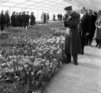 Opening Keukenhof door Prins Bernhard, Bestanddeelnr 905-0181
