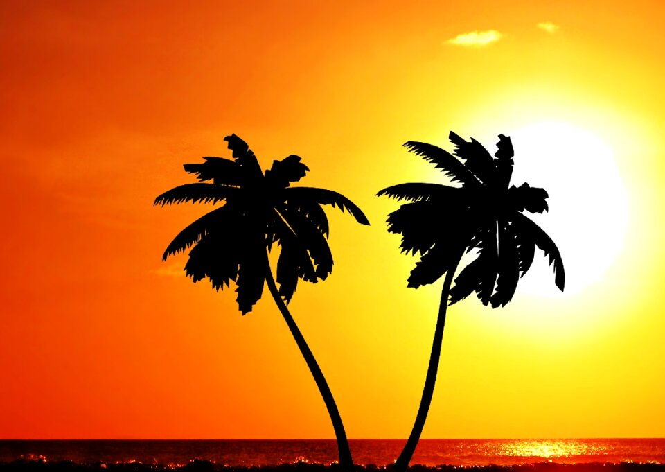Natural brazil eventide