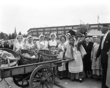 Opening oester- en mosselseizoen in Rotterdam, Bestanddeelnr 908-9190