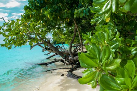 Travel beach summer
