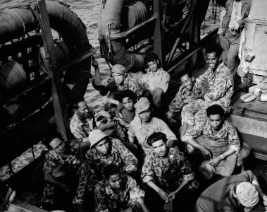 Operation Globetrotter bij Kaap Sansapar. Nederlandse en Indonesische militairen, Bestanddeelnr 935-3622