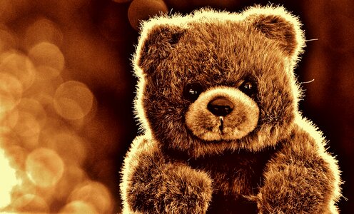 Stuffed animal teddy bear brown bear