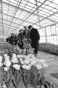 Opening Keukenhof door Minister Klompé, Bestanddeelnr 912-2641