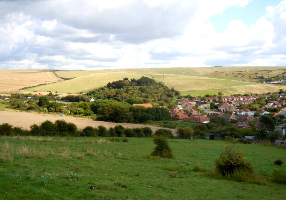 Open Fields north of Saltdean (August 2014) (3)