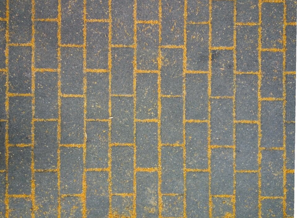 Stones autumn patch