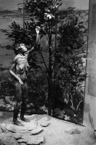 Opening tentoonstelling the human story in Tropenmuseum Amsterdam Lucy, Bestanddeelnr 933-7040