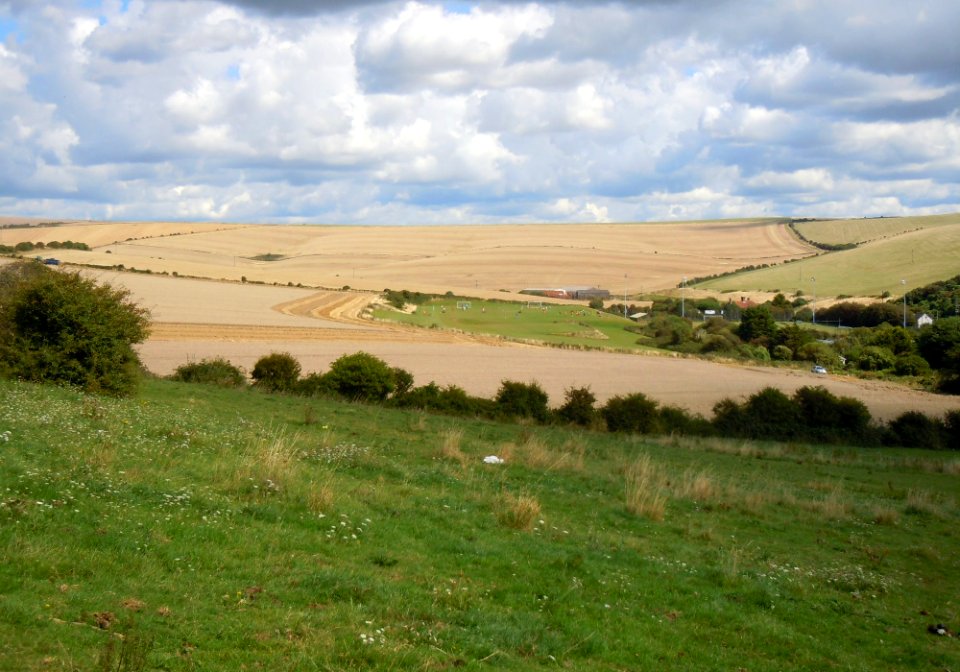 Open Fields north of Saltdean (August 2014) (4)