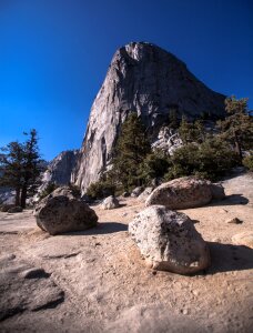 Yosemite mountains forest