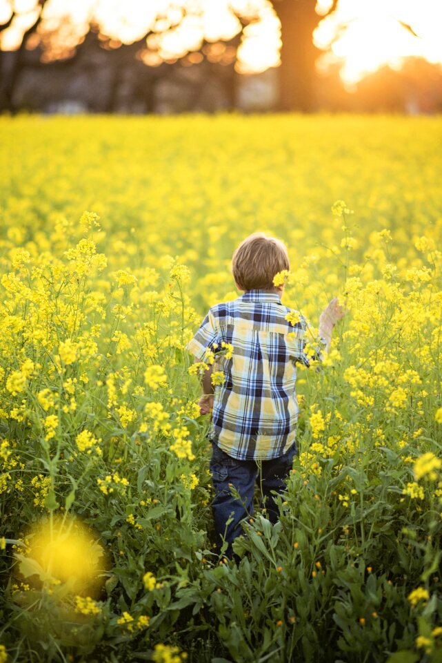 Boy yellow flowers kid