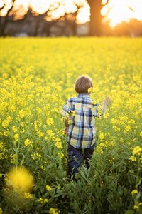 Boy yellow flowers kid