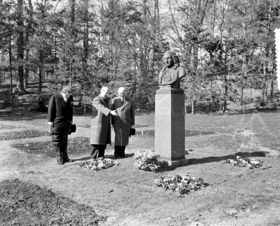 Opening Linnaeushof Bennebroek Bloemen zijn gelegd bij het standbeeld van Linna, Bestanddeelnr 907-6863