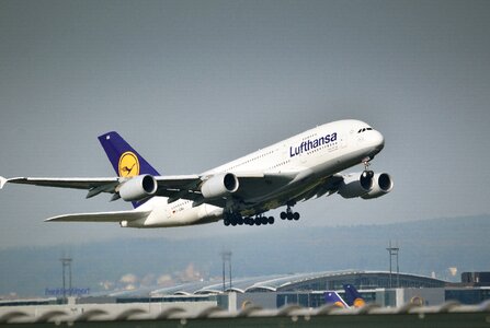 Start flight flying