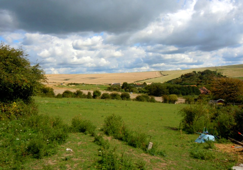Open Fields north of Saltdean (August 2014) (1)