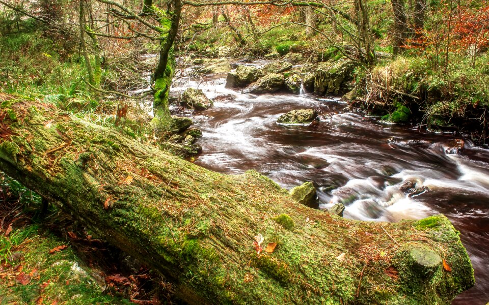 Flow idyllic waters