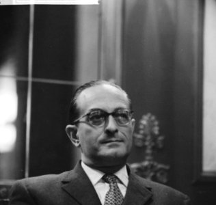 Opdracht van Telegraaf portret Cos de Groot, Bestanddeelnr 913-7365
