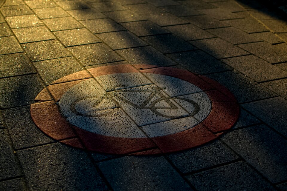 Signposts wise direction sun