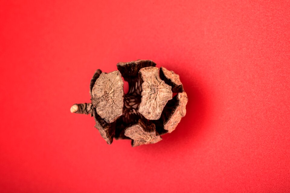 Forest cones scratchy