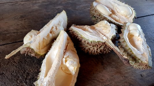 Opened durian (Philippines)