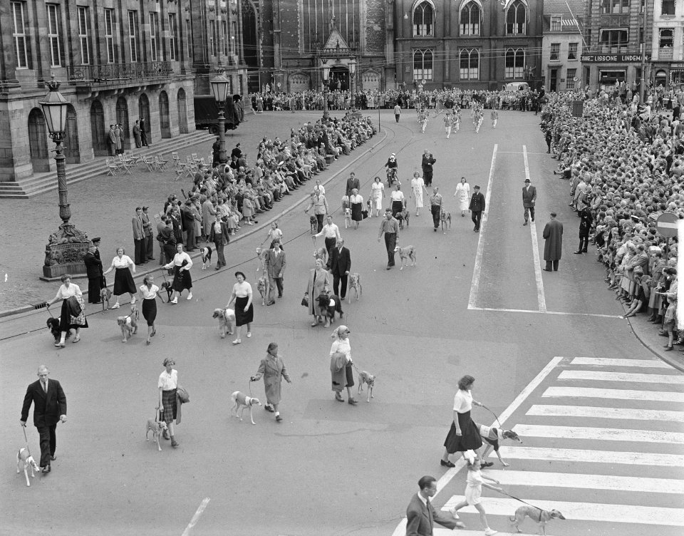 Opening Amsterdamse sportweek Defile op de Dam, Bestanddeelnr 904-6457