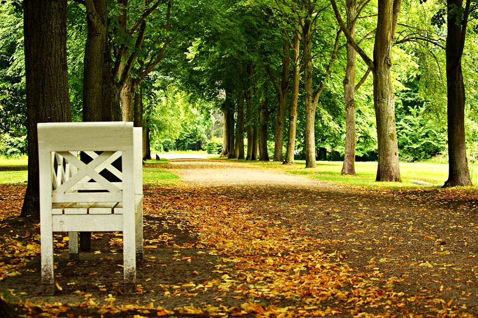 Away park castle park