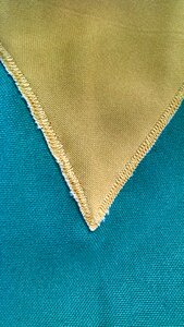 Brazil finish detail