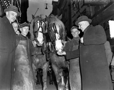 Opdracht Winkels (paarden Kalverstraat), Bestanddeelnr 904-9974