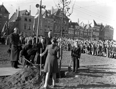 Opening boomplantdag, Bestanddeelnr 902-4383
