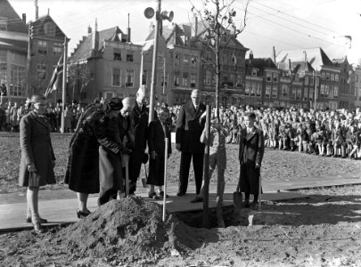 Opening boomplantdag, Bestanddeelnr 902-4384